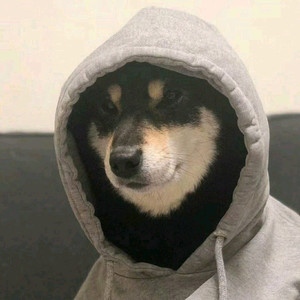 清暗资料,清暗最新歌曲,清暗MV视频,清暗音乐专辑,清暗好听的歌