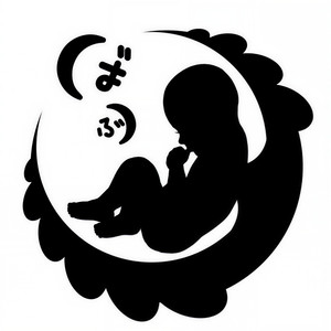 胎儿之梦 (Inst.)