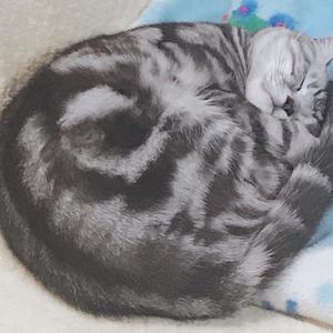 AKASHI资料,AKASHI最新歌曲,AKASHIMV视频,AKASHI音乐专辑,AKASHI好听的歌