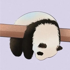 楓风资料,楓风最新歌曲,楓风MV视频,楓风音乐专辑,楓风好听的歌