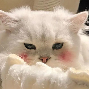 水资料,水最新歌曲,水MV视频,水音乐专辑,水好听的歌