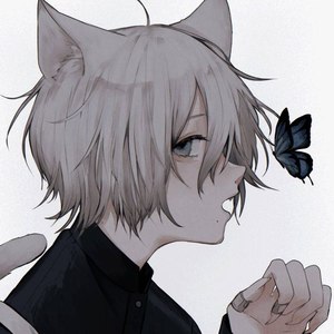 秦小可资料,秦小可最新歌曲,秦小可MV视频,秦小可音乐专辑,秦小可好听的歌