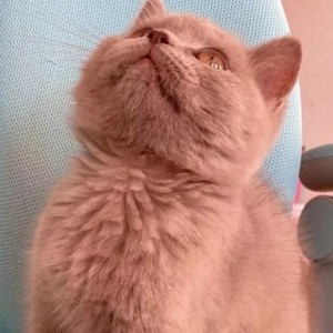 轻雨资料,轻雨最新歌曲,轻雨MV视频,轻雨音乐专辑,轻雨好听的歌