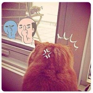 GL资料,GL最新歌曲,GLMV视频,GL音乐专辑,GL好听的歌