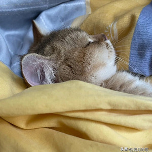 kiddy资料,kiddy最新歌曲,kiddyMV视频,kiddy音乐专辑,kiddy好听的歌