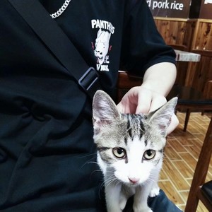 这里陈力资料,这里陈力最新歌曲,这里陈力MV视频,这里陈力音乐专辑,这里陈力好听的歌