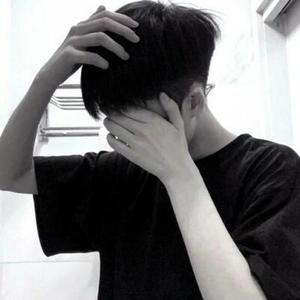 沙漠骆驼 (小洲)