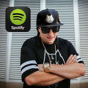 I Grew Up On Hip Hop