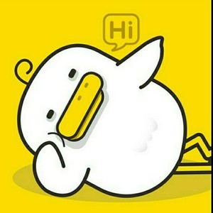 丑小鸭音乐爱好者 - Dzyszllg (EDM)