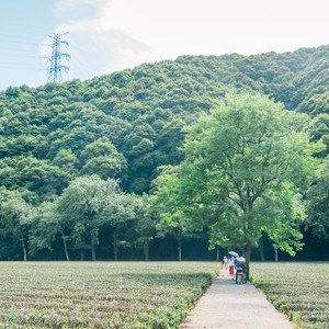 Linyuwei资料,Linyuwei最新歌曲,LinyuweiMV视频,Linyuwei音乐专辑,Linyuwei好听的歌