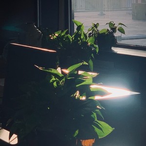 刻舟资料,刻舟最新歌曲,刻舟MV视频,刻舟音乐专辑,刻舟好听的歌