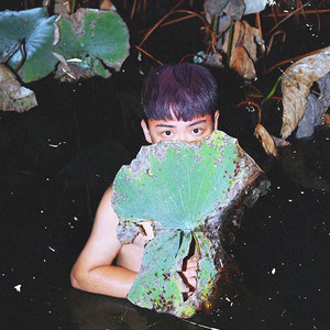 The Lost Coast-剪辑版