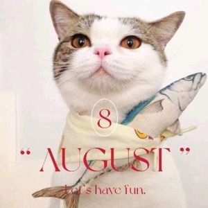 猫个嘞个猫资料,猫个嘞个猫最新歌曲,猫个嘞个猫MV视频,猫个嘞个猫音乐专辑,猫个嘞个猫好听的歌