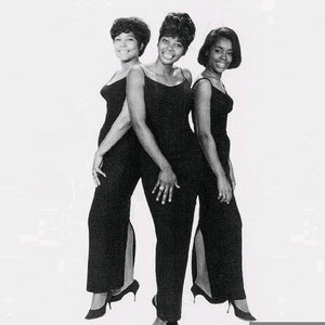 THE APOLLAS资料,THE APOLLAS最新歌曲,THE APOLLASMV视频,THE APOLLAS音乐专辑,THE APOLLAS好听的歌