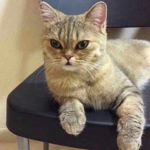 言语资料,言语最新歌曲,言语MV视频,言语音乐专辑,言语好听的歌