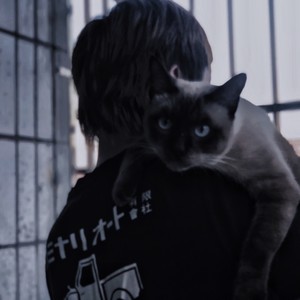 叶于海资料,叶于海最新歌曲,叶于海MV视频,叶于海音乐专辑,叶于海好听的歌