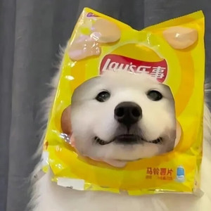 耗纸Hz资料,耗纸Hz最新歌曲,耗纸HzMV视频,耗纸Hz音乐专辑,耗纸Hz好听的歌