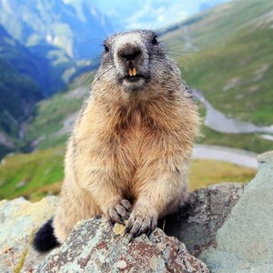 Derrick资料,Derrick最新歌曲,DerrickMV视频,Derrick音乐专辑,Derrick好听的歌