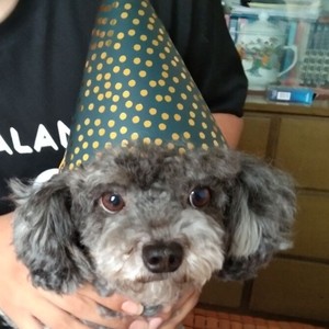 达尔文 (翻自 蔡健雅)