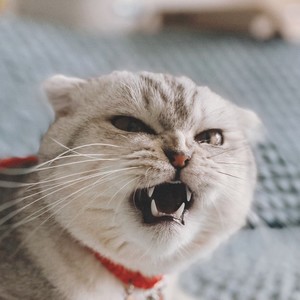 留白资料,留白最新歌曲,留白MV视频,留白音乐专辑,留白好听的歌