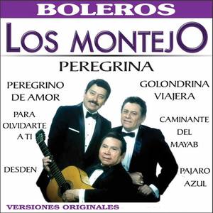 Los Montejo