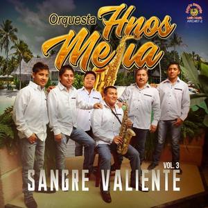 Orquesta Hermanos Mejia