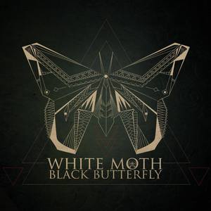 White Moth Black Butterfly