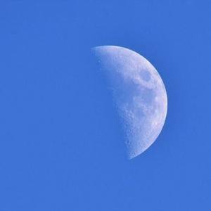 Moodie资料,Moodie最新歌曲,MoodieMV视频,Moodie音乐专辑,Moodie好听的歌