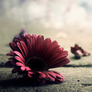 夏子渊资料,夏子渊最新歌曲,夏子渊MV视频,夏子渊音乐专辑,夏子渊好听的歌