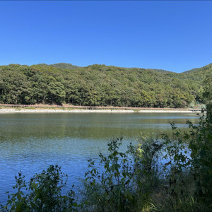 大唐胖胖资料,大唐胖胖最新歌曲,大唐胖胖MV视频,大唐胖胖音乐专辑,大唐胖胖好听的歌