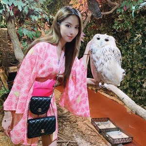 胡斯童资料,胡斯童最新歌曲,胡斯童MV视频,胡斯童音乐专辑,胡斯童好听的歌