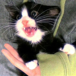 甜久资料,甜久最新歌曲,甜久MV视频,甜久音乐专辑,甜久好听的歌