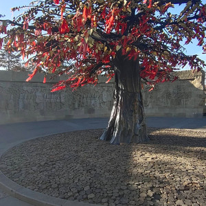 zhenyu资料,zhenyu最新歌曲,zhenyuMV视频,zhenyu音乐专辑,zhenyu好听的歌