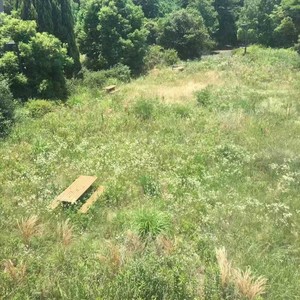 来碗咸豆花资料,来碗咸豆花最新歌曲,来碗咸豆花MV视频,来碗咸豆花音乐专辑,来碗咸豆花好听的歌