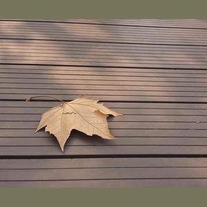 沁灰资料,沁灰最新歌曲,沁灰MV视频,沁灰音乐专辑,沁灰好听的歌