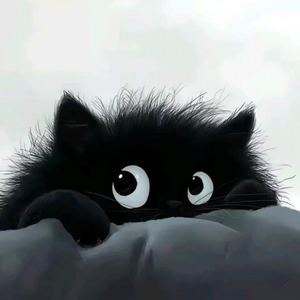 xiao. 小旭资料,xiao. 小旭最新歌曲,xiao. 小旭MV视频,xiao. 小旭音乐专辑,xiao. 小旭好听的歌