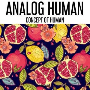 Analog Human