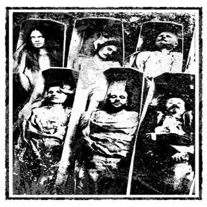 Fester资料,Fester最新歌曲,FesterMV视频,Fester音乐专辑,Fester好听的歌