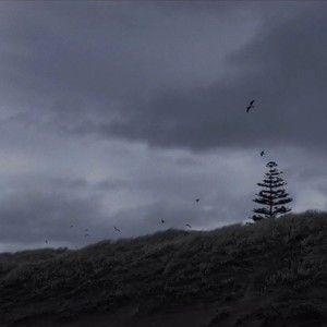 崔若珩珩珩资料,崔若珩珩珩最新歌曲,崔若珩珩珩MV视频,崔若珩珩珩音乐专辑,崔若珩珩珩好听的歌