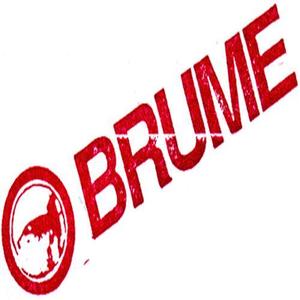 Brume资料,Brume最新歌曲,BrumeMV视频,Brume音乐专辑,Brume好听的歌