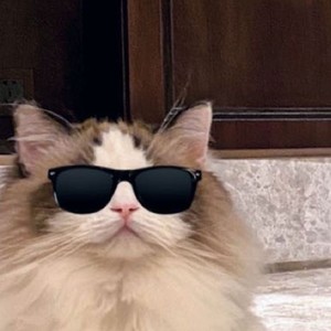 capyzh资料,capyzh最新歌曲,capyzhMV视频,capyzh音乐专辑,capyzh好听的歌