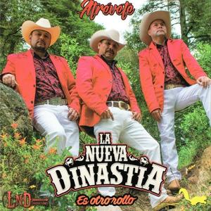 La Nueva Dinastía资料,La Nueva Dinastía最新歌曲,La Nueva DinastíaMV视频,La Nueva Dinastía音乐专辑,La Nueva Dinastía好听的歌
