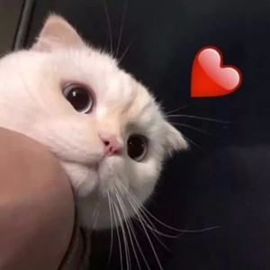 李心陈资料,李心陈最新歌曲,李心陈MV视频,李心陈音乐专辑,李心陈好听的歌