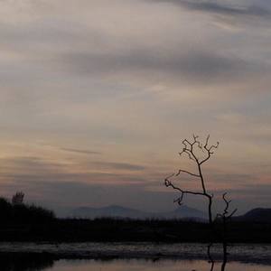 David Williams资料,David Williams最新歌曲,David WilliamsMV视频,David Williams音乐专辑,David Williams好听的歌