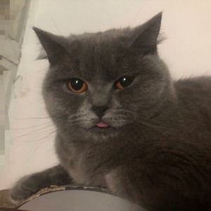 陈旧获悉资料,陈旧获悉最新歌曲,陈旧获悉MV视频,陈旧获悉音乐专辑,陈旧获悉好听的歌