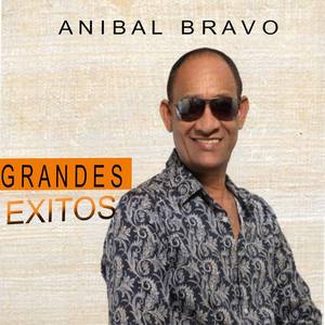 Anibal Bravo