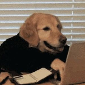 临朝资料,临朝最新歌曲,临朝MV视频,临朝音乐专辑,临朝好听的歌