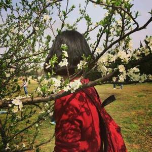 町芸资料,町芸最新歌曲,町芸MV视频,町芸音乐专辑,町芸好听的歌