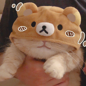 回到过去-猫总小宝贝