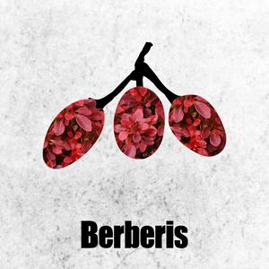 Albena Flores资料,Albena Flores最新歌曲,Albena FloresMV视频,Albena Flores音乐专辑,Albena Flores好听的歌